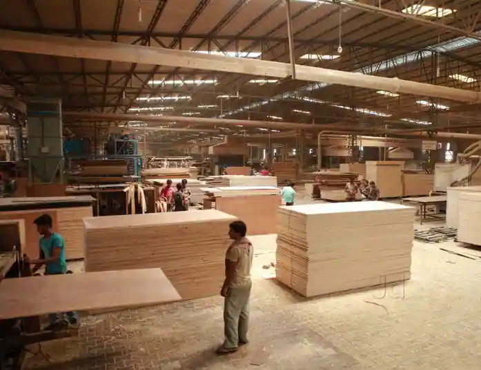 Plywood 5