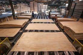 Plywood 6